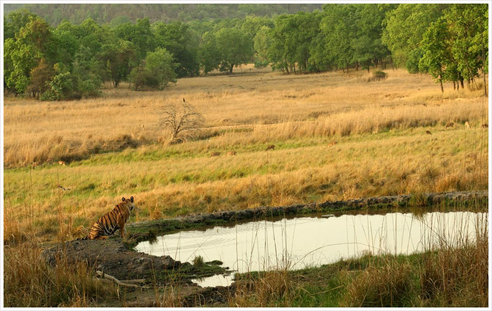 Bandhavgarh National Park