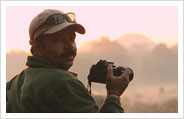 Himanshu Rathore